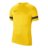 Maillot d'entrainement Academy 21