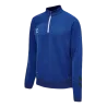 bleu roy