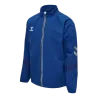 bleu roy