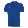 Bleu roy