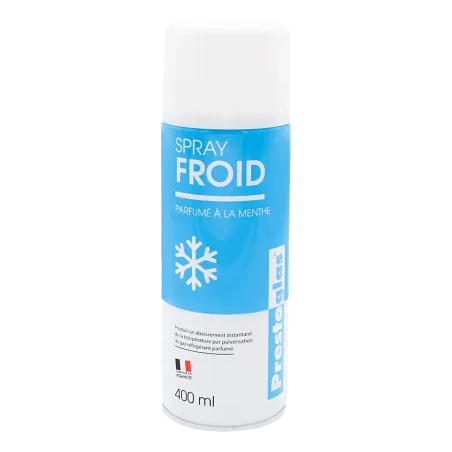 Bombe de froid 400 ml