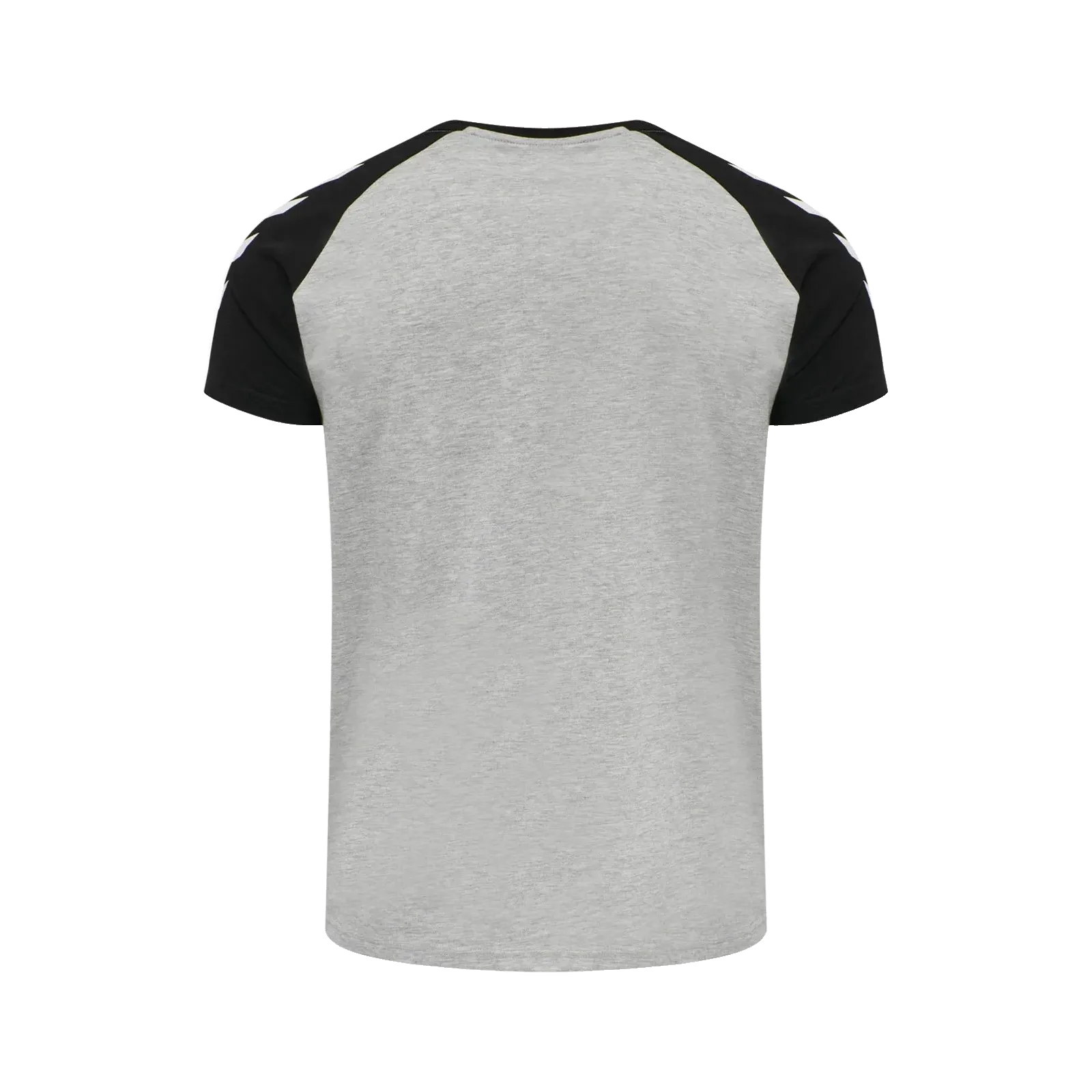 T-shirt Blocked HMLLegacy