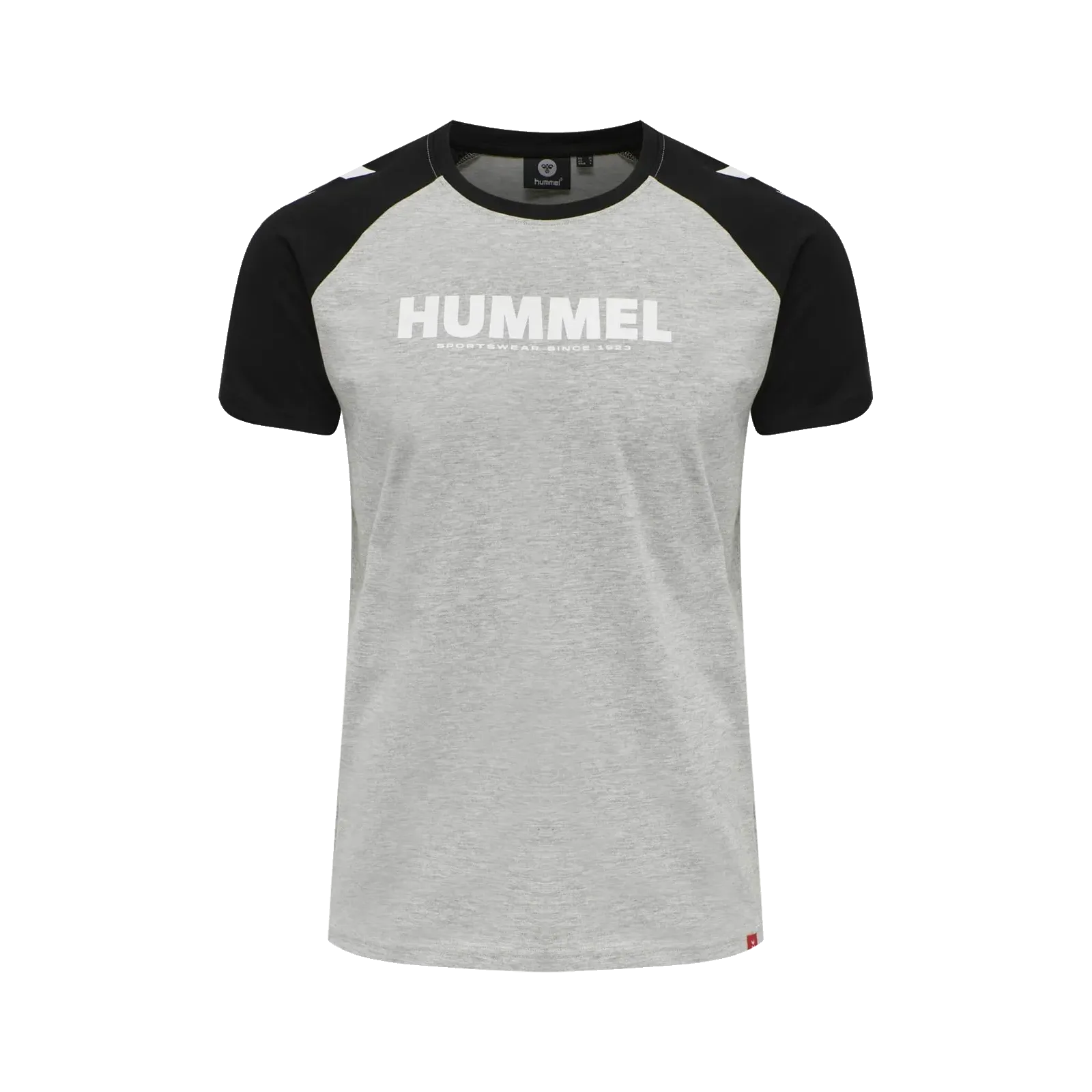 T-shirt Blocked HMLLegacy