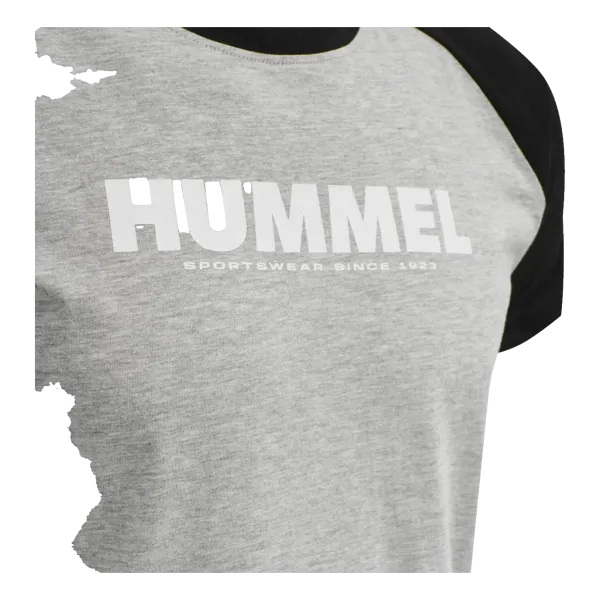 T-shirt Blocked HMLLegacy