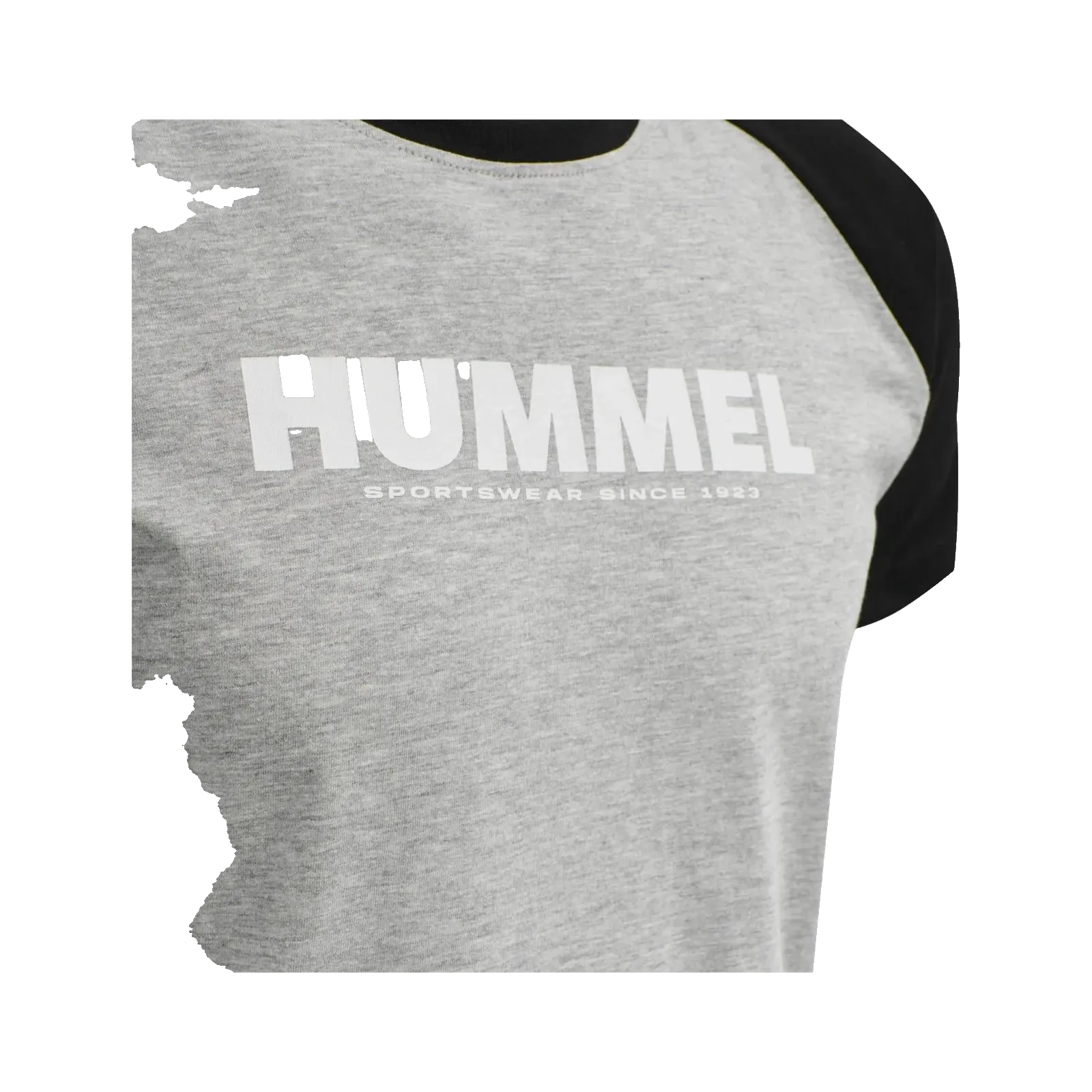 T-shirt Blocked HMLLegacy