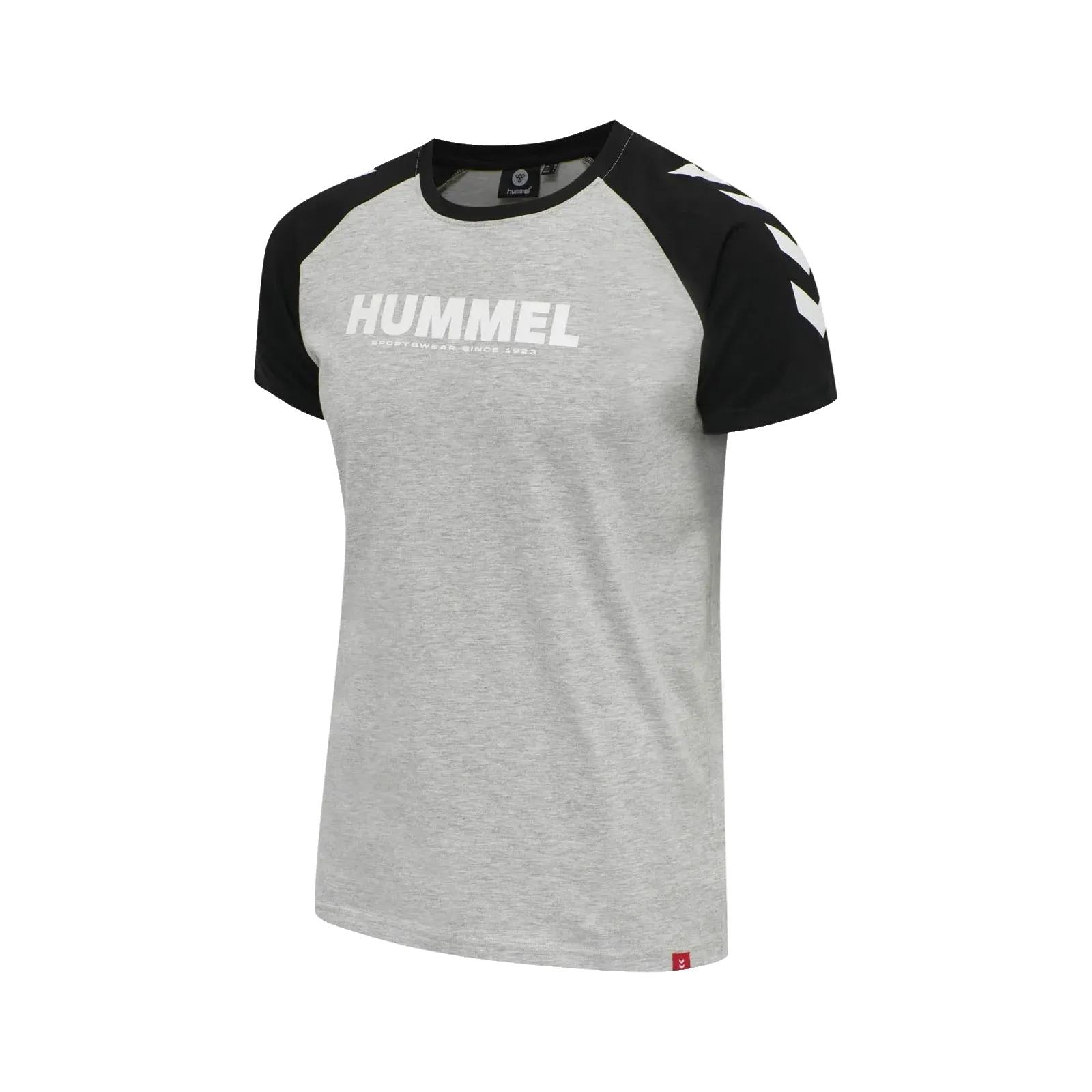 T-shirt Blocked HMLLegacy