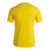 Maillot Pisa II