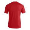 Maillot Pisa II