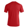 Maillot Pisa II