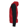 Veste à capuche Academy IV