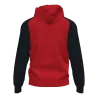 Veste à capuche Academy IV