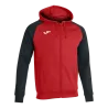 Veste à capuche Academy IV