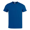 Bleu roy