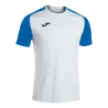 Blanc/Bleu roy