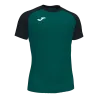 Vert bouteille/Noir
