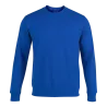 Bleu roy