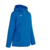 Bleu roy