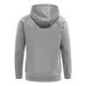 Veste à capuche Classic HmlRed