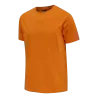 Orange tigre