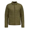 Vert olive foncé