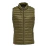 Vert olive foncé
