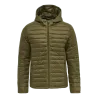 Vert olive foncé