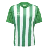 Maillot HmlCore XK Striped