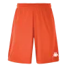 Orange flame