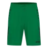 Vert sport/Noir