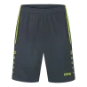 Anthracite/Lemon