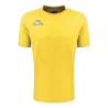 Jaune chrome