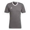 Gris foncé