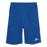 Bleu roy