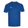 Bleu roy