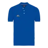 Bleu roy