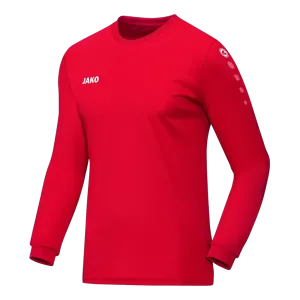Maillot Team ML