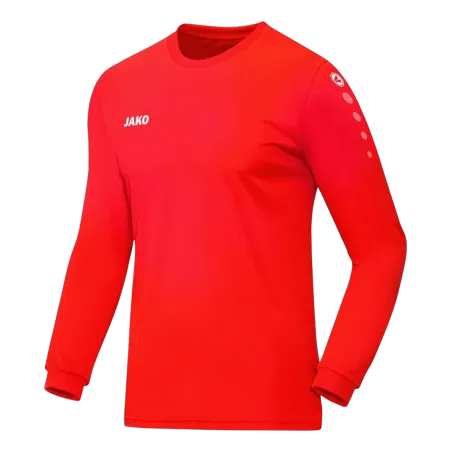 Maillot Team ML