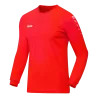 Maillot Team ML