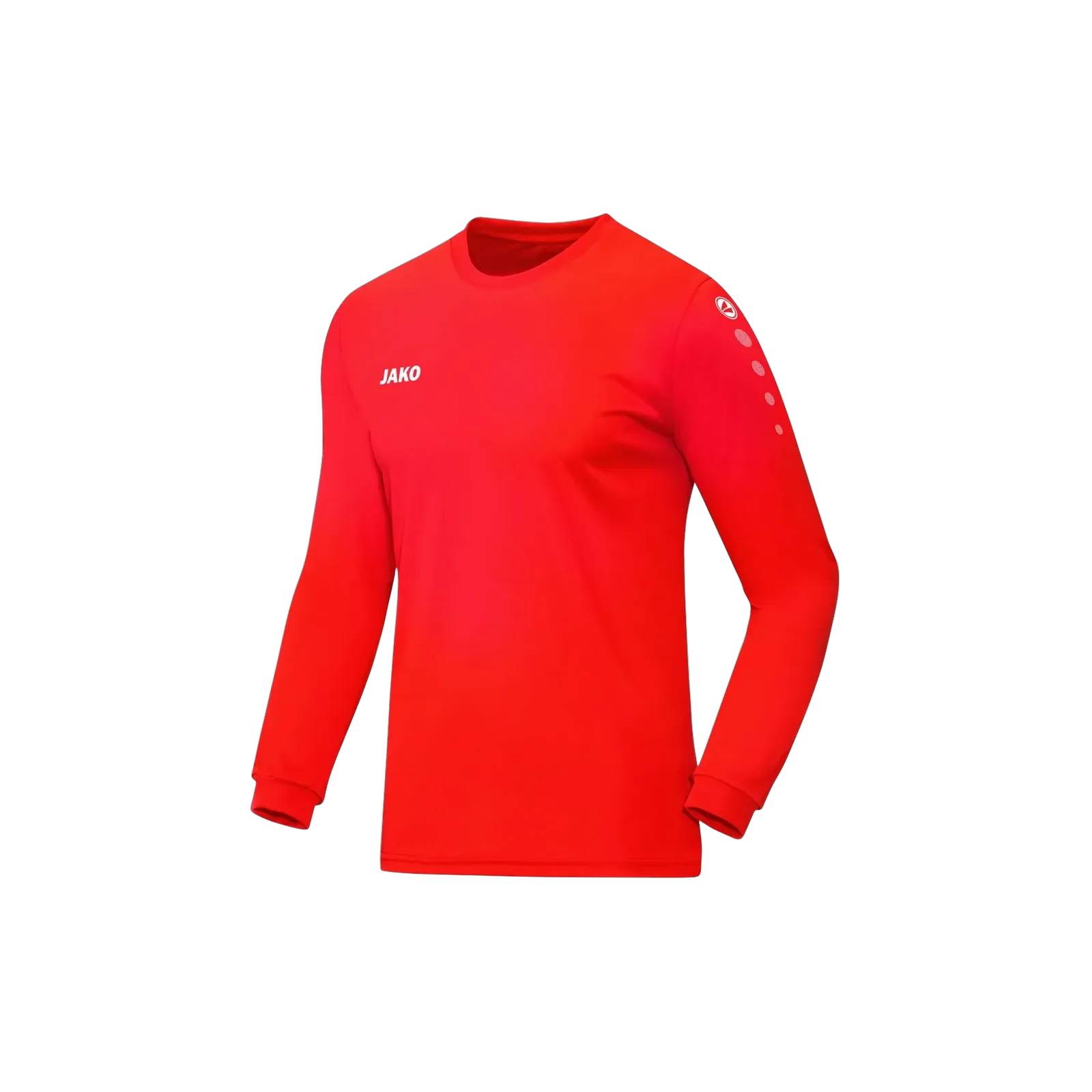 Maillot Team ML