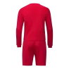 Maillot Team ML