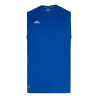 Bleu roy
