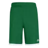 Vert/Blanc