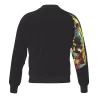 Veste Pavel