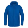 Bleu roy