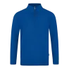 Bleu roy