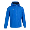 Bleu roy