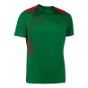 Vert/Rouge