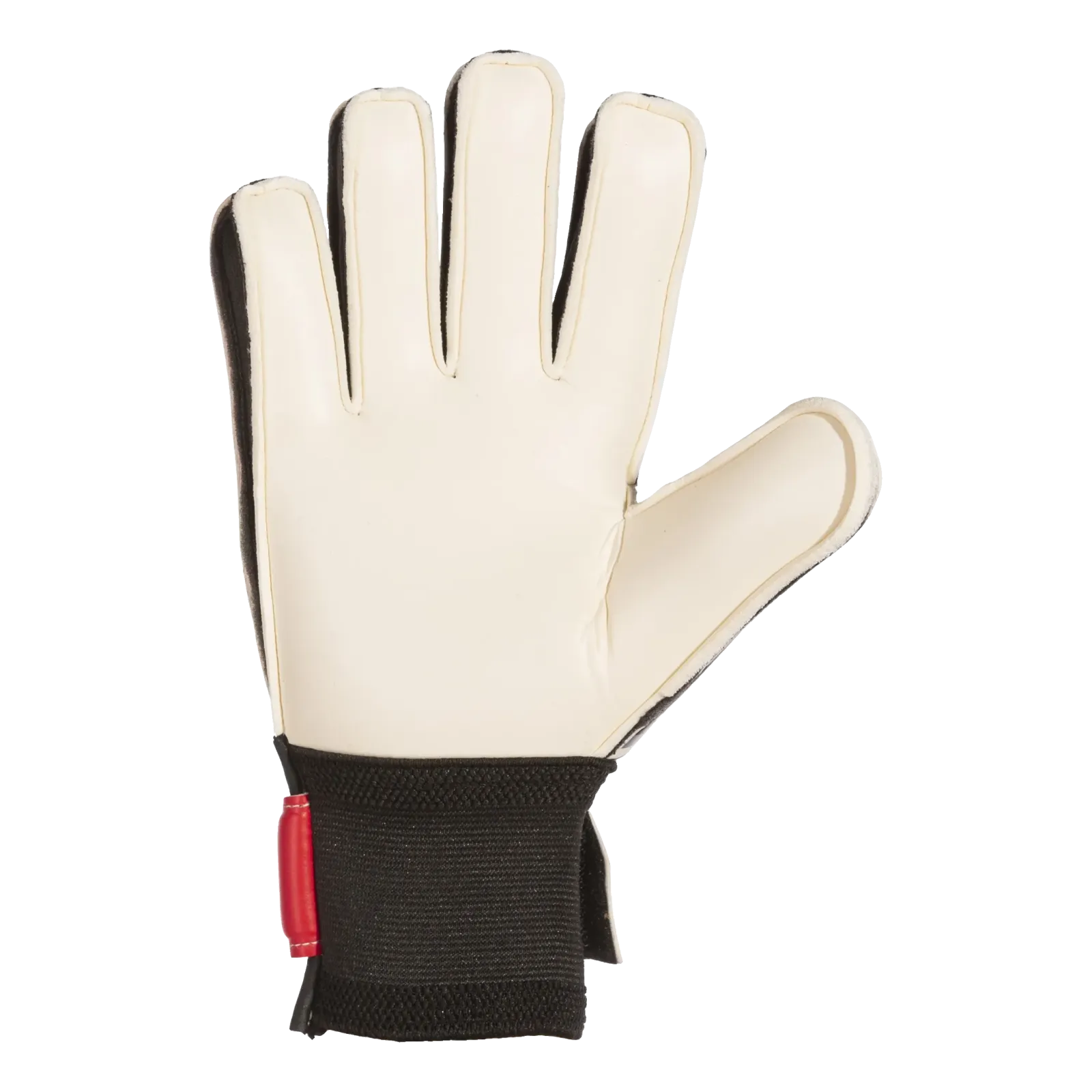 Gants de gardien Calcio 23 Jr