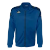 Bleu saphir/bleu cobalt