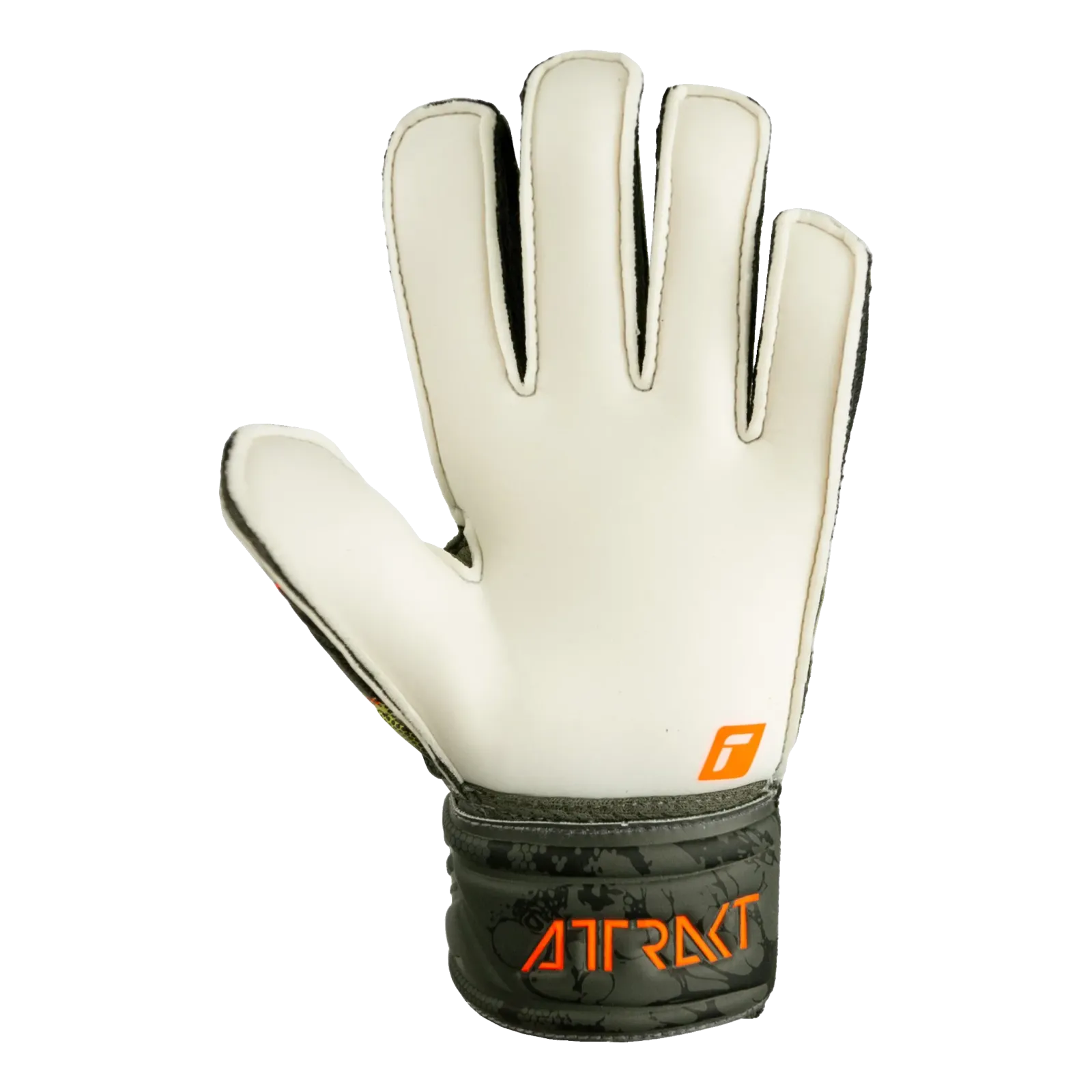 Gants de gardien Attrakt Solid Finger Support Jr